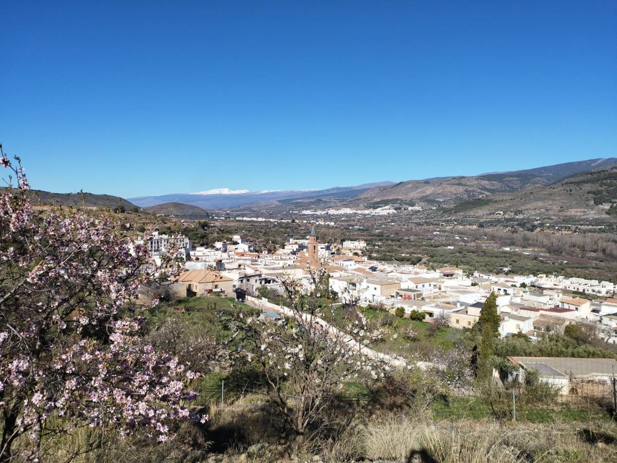 Los Olivos De Fondón Exterior foto